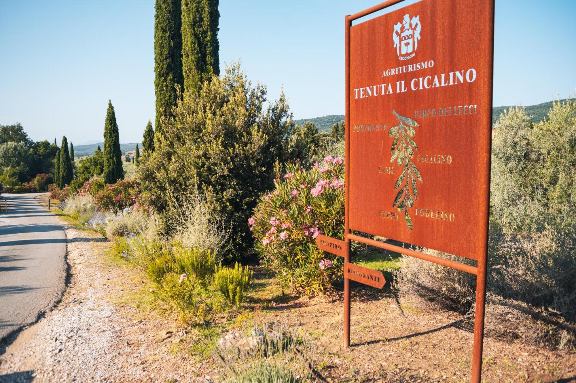 Tenuta Il Cicalino 마사마리티마 외부 사진